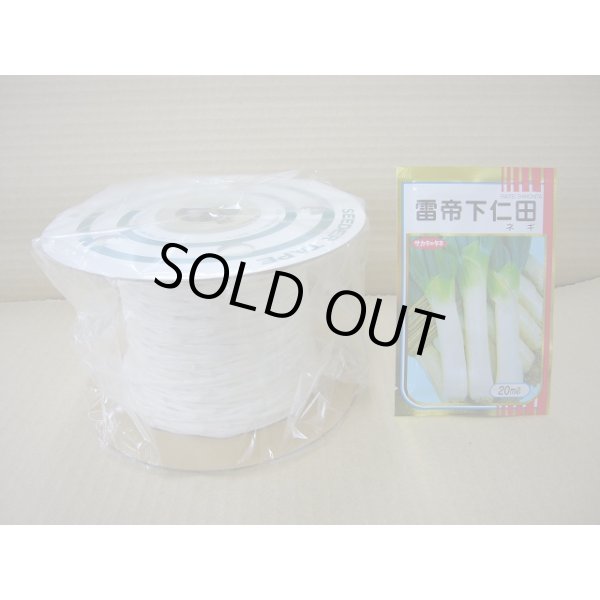 画像1: [シーダー種子]　ネギ　雷帝下仁田　1粒×10cm間隔 (1)