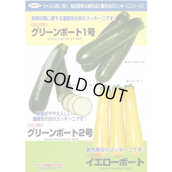 画像2: 送料無料　[ズッキーニ]　イエローボート　100粒　カネコ種苗（株） (2)