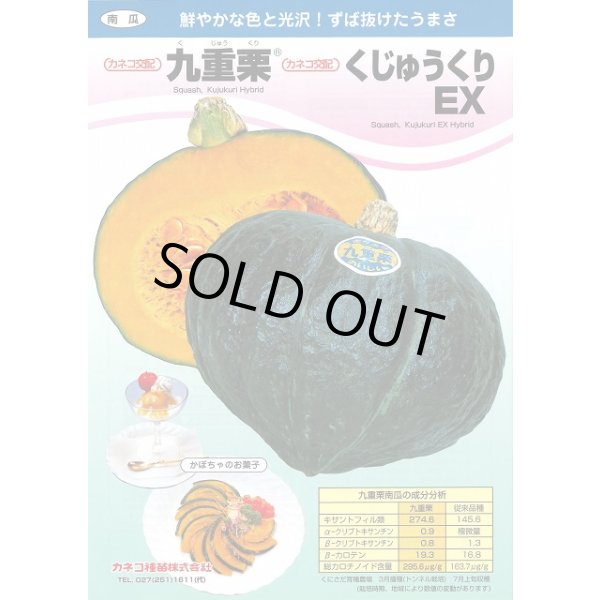 くじゅうくり　かぼちゃ　約15kg くじゅうくりEX | カネコ種苗株式会社 | 未来をひらく・・カネコ交配