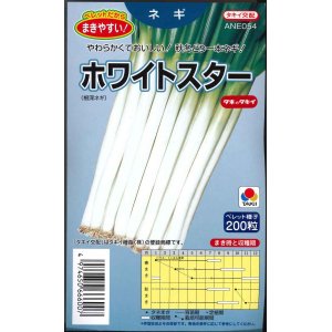 画像: [ねぎ]　ホワイトスター　ペレット200粒　タキイ種苗（株）