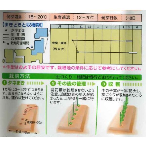 画像3: [えんどう]　実エンドウ　ウスイ　1L　タキイ種苗 (3)