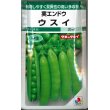 画像1: [えんどう]　実エンドウ　ウスイ　18ml　タキイ種苗　GF　 (1)