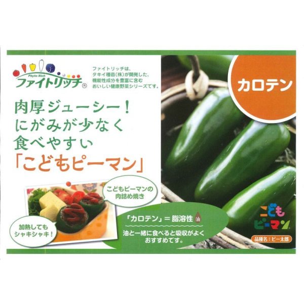 画像5: 送料無料　[ピーマン]　こどもピーマン　ピー太郎　27粒　タキイ種苗(株)　DF (5)