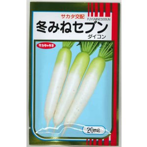 画像: 送料無料　大根　冬みねセブン　20ml　(株)サカタのタネ