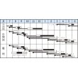 画像2: [シーダー種子]　かぶ　　耐病ひかり　　1粒×15cm間隔 (2)