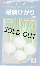 画像: 送料無料 [かぶ] 耐病ひかり 20ml タキイ種苗(株)