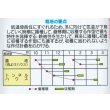 画像5: 送料無料　[小松菜]　はまつづき　2dl　（株）サカタのタネ (5)