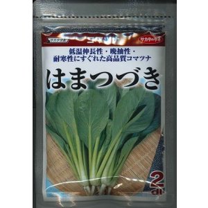 画像: 送料無料　[小松菜]　はまつづき　2dl　（株）サカタのタネ