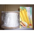 画像1: [シーダー種子]　にんじん　イエローハーモニー　1粒×6cm間隔 (1)