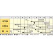 画像3: [シーダー種子]　にんじんオレンジハーモニー　　1粒×6cm間隔 (3)