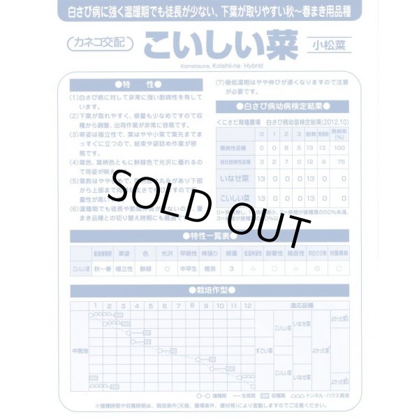 画像4: [小松菜]　こいしい菜　2dl　カネコ種苗（株） (4)