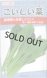 画像: 送料無料　[小松菜]　こいしい菜　20ml　カネコ種苗（株）