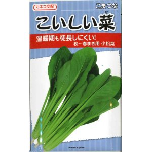 画像: [小松菜]　こいしい菜　20ml　カネコ交配