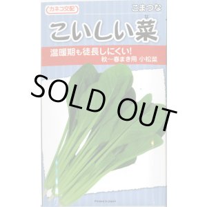 画像: 送料無料　[小松菜]　こいしい菜　20ml　カネコ種苗（株）