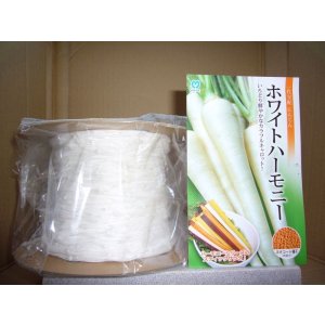 画像: [シーダー種子]　にんじん　ホワイトハーモニー　1粒×6cm間隔