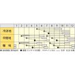 画像2: [シーダー種子]　にんじん　ホワイトハーモニー　1粒×6cm間隔 (2)
