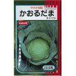 画像1: [キャベツ]　かおるだま　2000粒　サカタ交配　 (1)