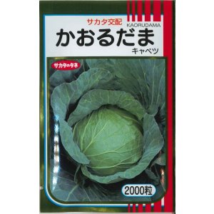画像: 送料無料　[キャベツ]　かおるだま　2000粒　（株）サカタのタネ