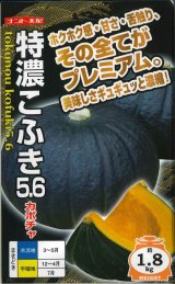 画像: 送料無料　[かぼちゃ]　特濃こふき5.6　小袋(7粒入り)　ナント種苗(株)