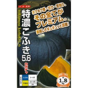 画像: [かぼちゃ]　特濃こふき5.6　小袋（7粒入り）　ナント種苗（株）