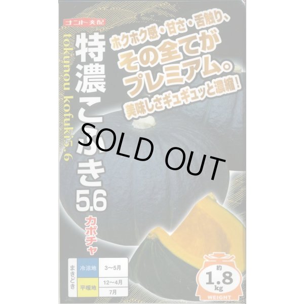 画像1: 送料無料　[かぼちゃ]　特濃こふき5.6　小袋(7粒入り)　ナント種苗(株) (1)