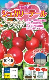 画像: 送料無料　[トマト/ミニトマト]　シュガリーテール　15粒　ナント種苗(株)