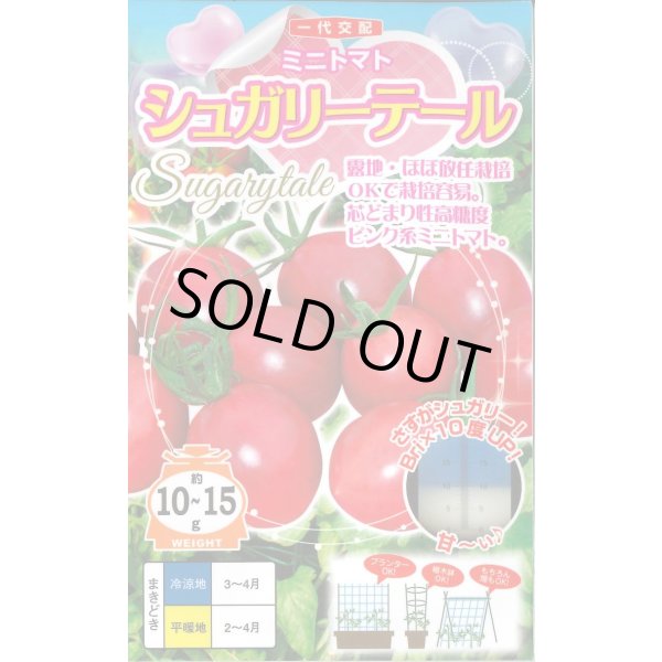 画像1: 送料無料　[トマト/ミニトマト]　シュガリーテール　15粒　ナント種苗(株) (1)