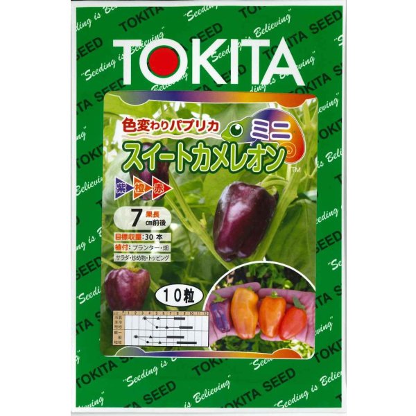 画像1: 送料無料　[パプリカ]　ミニパプリカ　スイートカメレオン　10粒　トキタ種苗(株) (1)