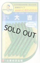 画像: [キュウリ] 大吉 20粒 ときわ研究場