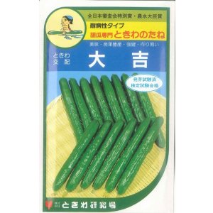 画像: [キュウリ]　大吉　20粒　　ときわ研究場