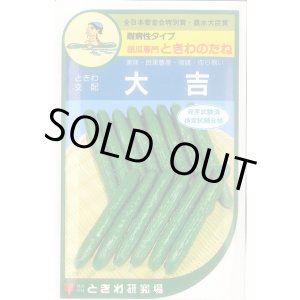 画像: [キュウリ] 大吉 20粒 ときわ研究場