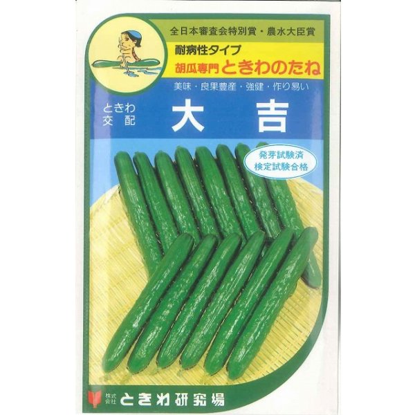 画像1: [キュウリ]　大吉　20粒　　ときわ研究場 (1)