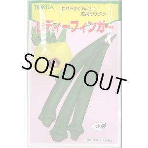 画像: 送料無料　[オクラ]　レディーフィンガー　10ml(およそ100粒)　トキタ種苗(株)