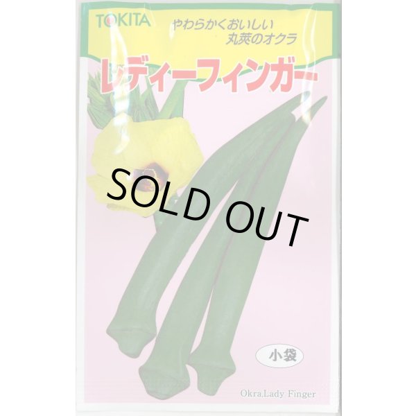 画像1: 送料無料　[オクラ]　レディーフィンガー　10ml(およそ100粒)　トキタ種苗(株) (1)