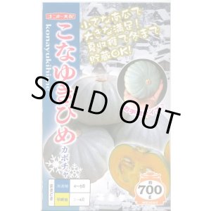 画像: 送料無料　[かぼちゃ]　こなゆきひめ　6粒　ナント種苗(株)