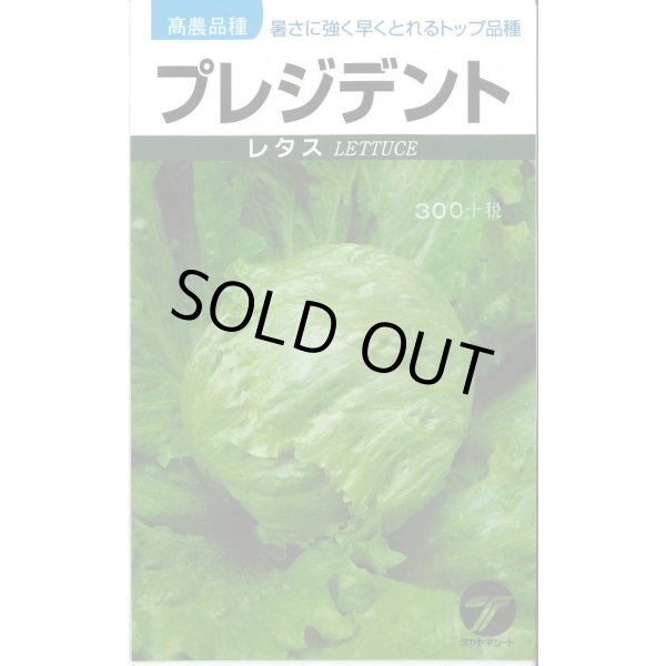 画像1: 送料無料　[レタス]　プレジデント　1ml　(株)タカヤマシード (1)
