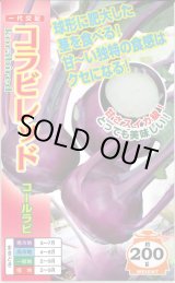 画像: [キャベツ] コールラビ コラビレッド 60粒 ナント種苗(株)