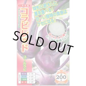 画像: [キャベツ] コールラビ コラビレッド 60粒 ナント種苗(株)