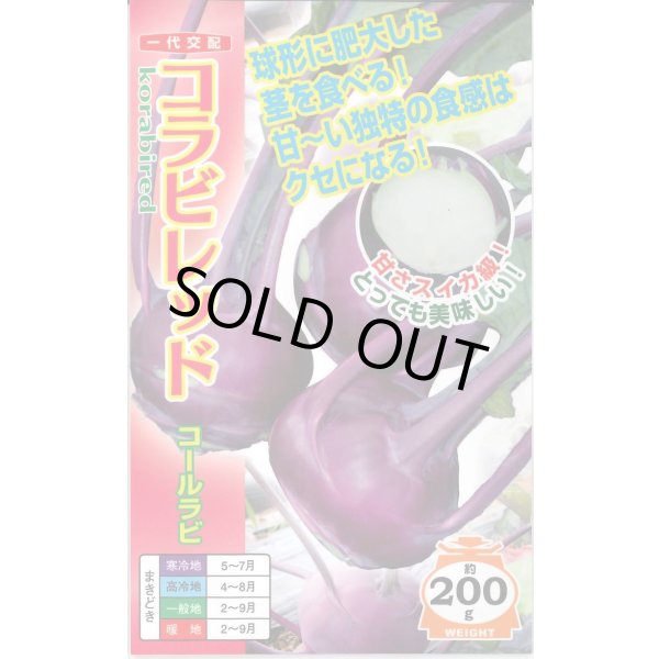 画像1: [キャベツ] コールラビ コラビレッド 60粒 ナント種苗(株) (1)