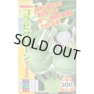 画像: [キャベツ] コールラビ コラビグリーン 60粒 ナント種苗(株)