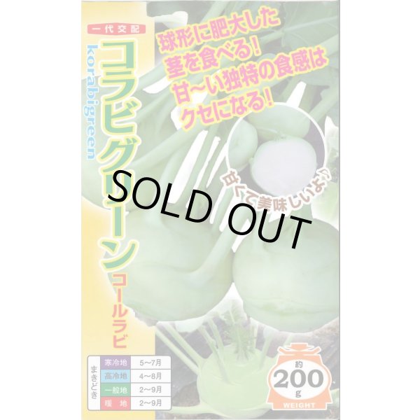 画像1: [キャベツ] コールラビ コラビグリーン 60粒 ナント種苗(株) (1)