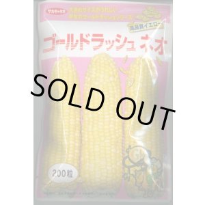 画像: 送料無料　[とうもろこし]　ゴールドラッシュネオ　200粒　(株)サカタのタネ
