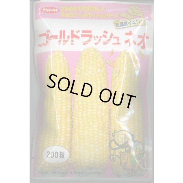 画像1: 送料無料　[とうもろこし]　ゴールドラッシュネオ　200粒　(株)サカタのタネ (1)