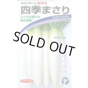画像: 送料無料　[大根]　四季まさり　2ml　(株)タカヤマシード