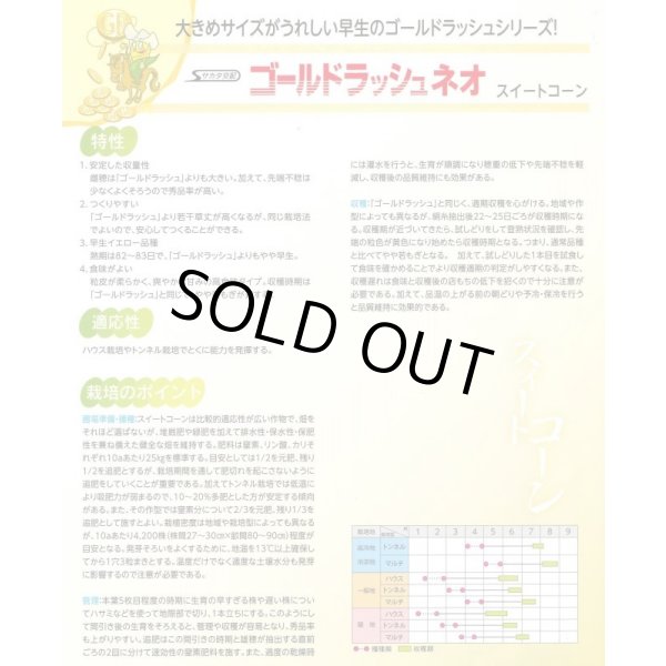 画像3: 送料無料[とうもろこし]　ゴールドラッシュネオ　2000粒　(株)サカタのタネ (3)