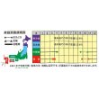画像2: [たまねぎ]　タイガージェット　1.5g　ナント種苗（株） (2)
