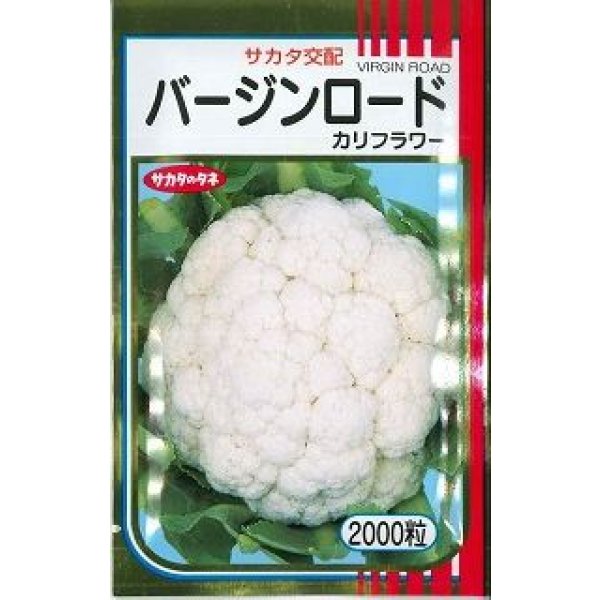 画像1: 送料無料 [カリフラワー] バージンロード 2000粒 (株)サカタのタネ (1)