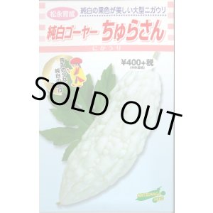 画像: 送料無料　[ゴーヤ]　純白ゴーヤー　ちゅらさん　7粒　松永種苗(株)