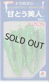 画像: 送料無料　[とうがらし]　甘とう美人　500粒　タキイ種苗(株)