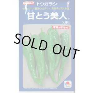 画像: 送料無料　[とうがらし]　甘とう美人　500粒　タキイ種苗(株)